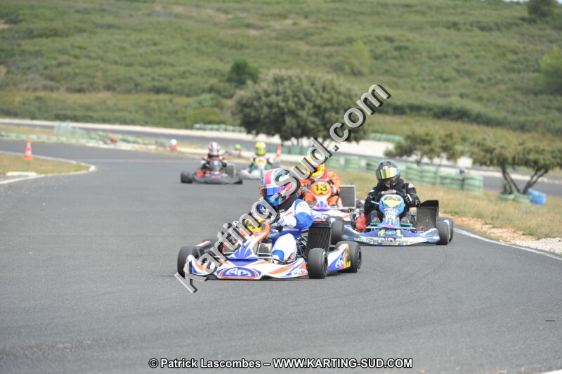 DSC (3435).JPG
